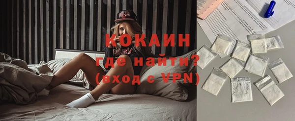 твердый Арсеньев