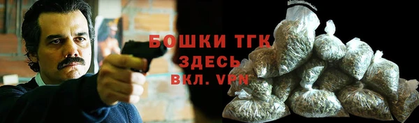 дживик Богородицк