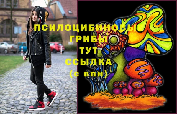 дживик Алзамай