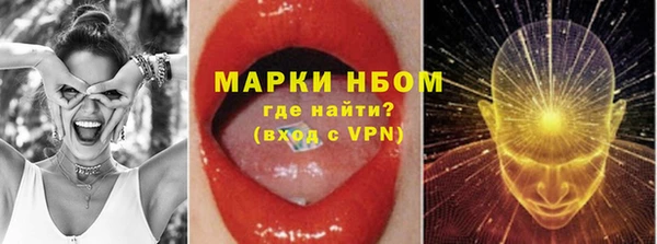 твердый Арсеньев