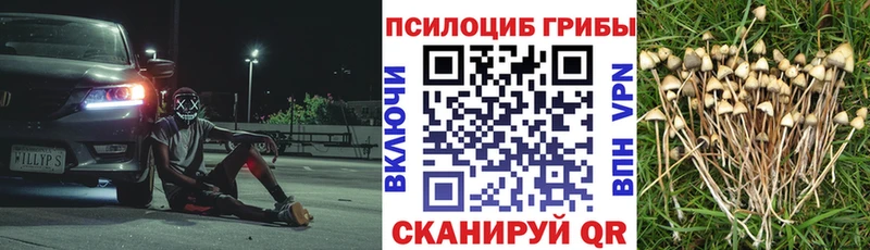 Галлюциногенные грибы GOLDEN TEACHER  наркотики  Копейск 